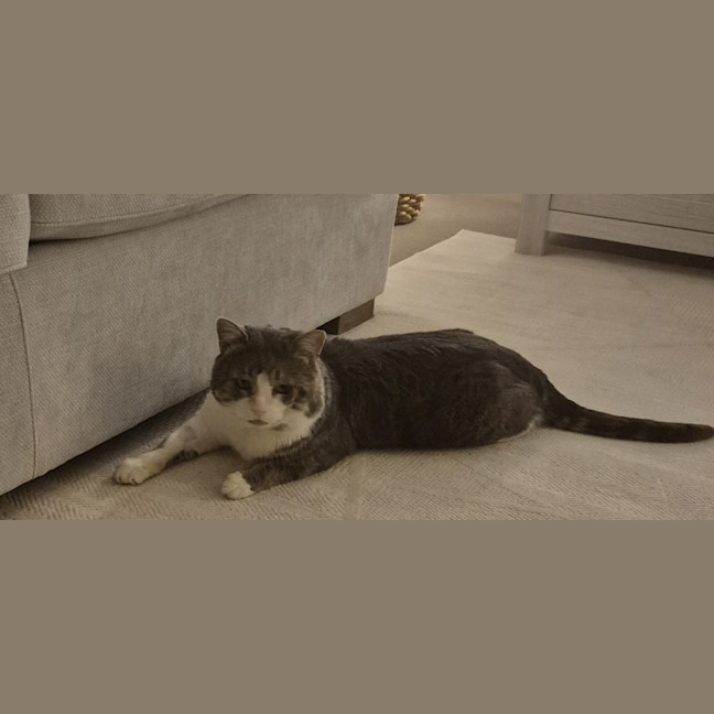Photo of Tom