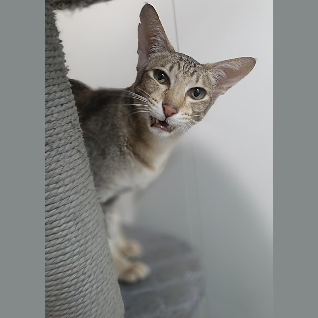 Photo of Elsie