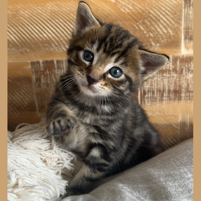 Photo of Milford 💙