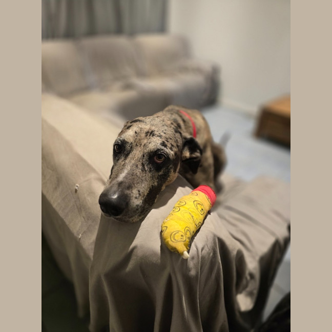 Photo of Jada