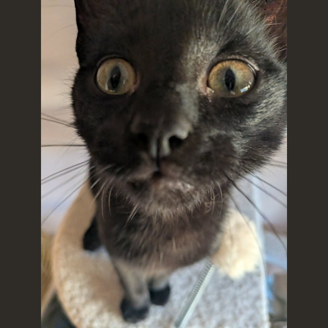 Photo of Buster