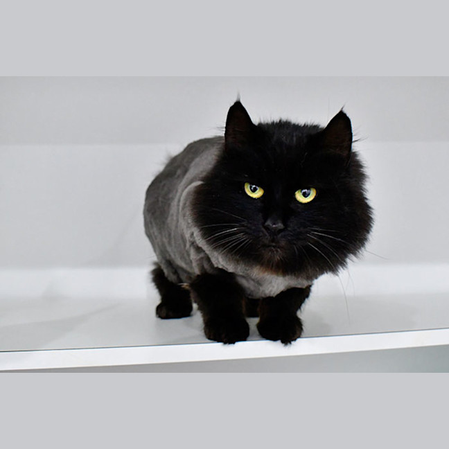 Photo of Betty Superstitious