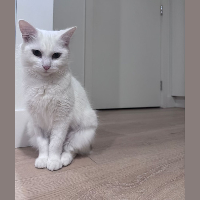 Photo of Liyana And Luci