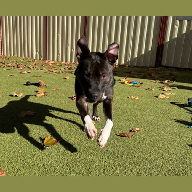 Photo of Debbie