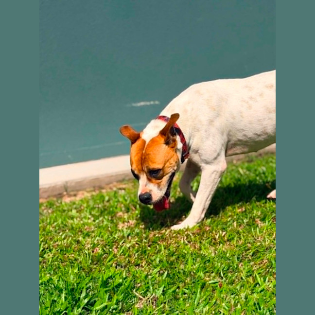Photo of Molly