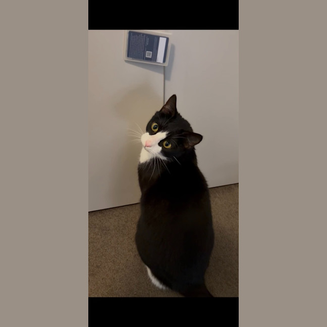 Photo of Sandy
