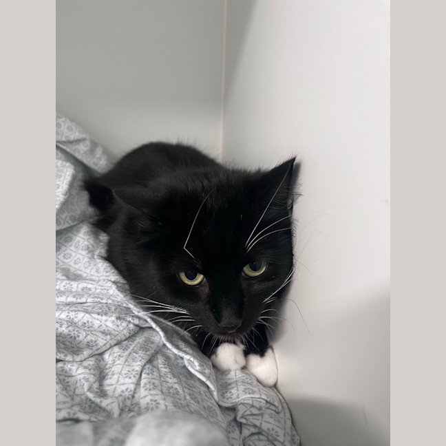 Photo of Esme