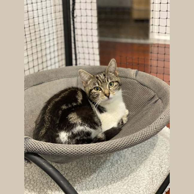 Photo of Jemima