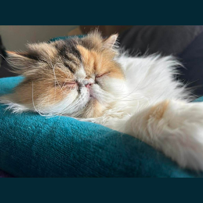 Photo of 📦Lois📦