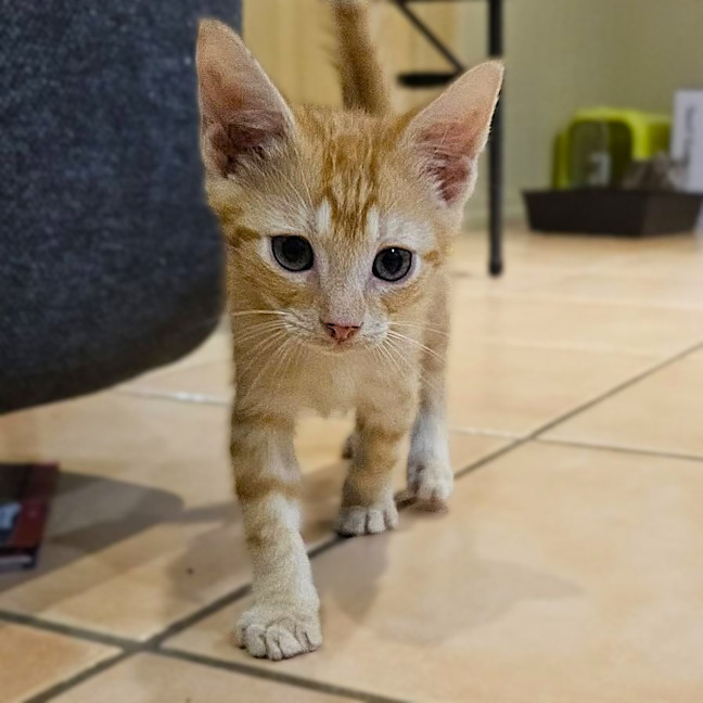 Photo of Isaac