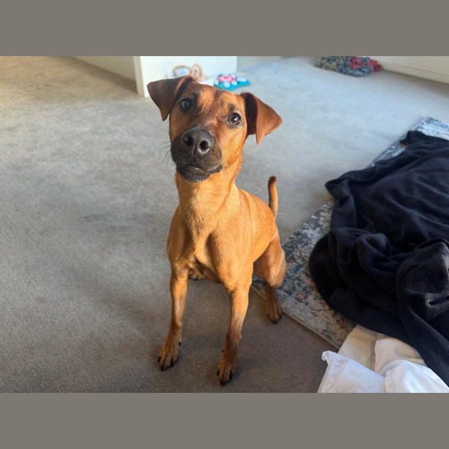 Photo of Missy Peggotty