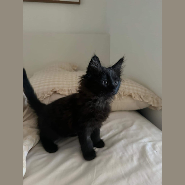 Photo of Tali