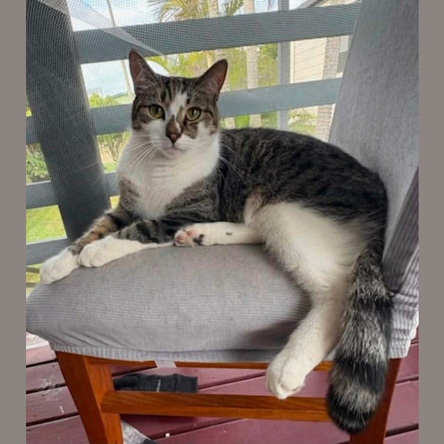 Photo of Max