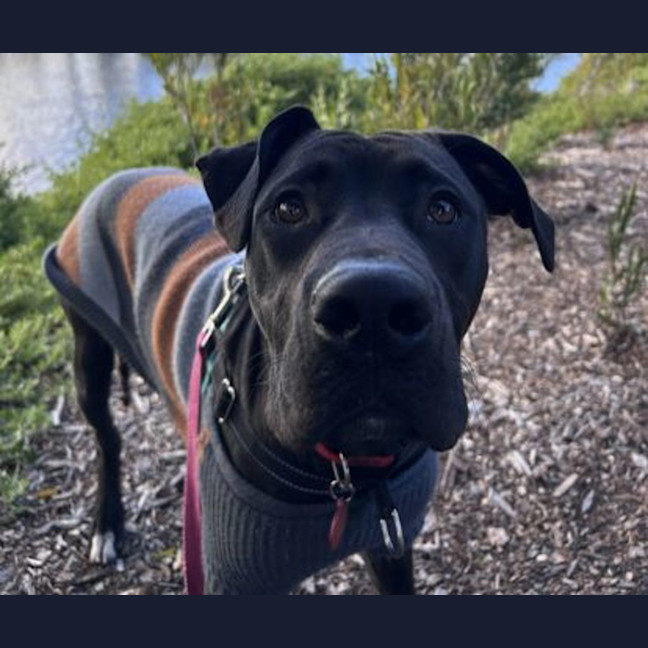 Photo of Abbie