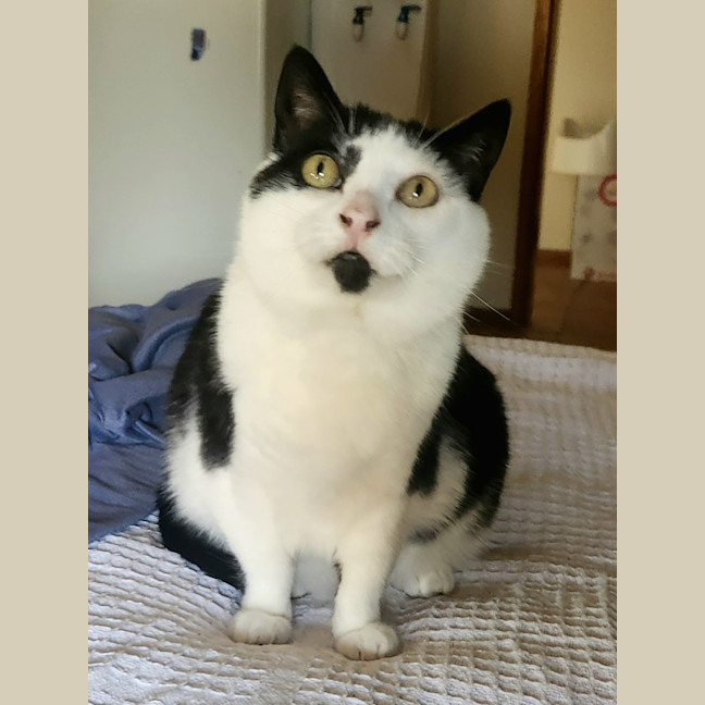 Photo of 💗 Amarina   Total Sweetheart 💗