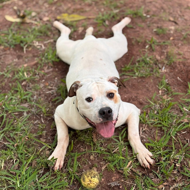 Photo of Happy