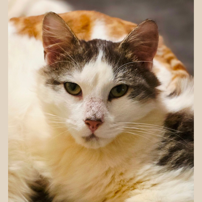 Photo of Bobby