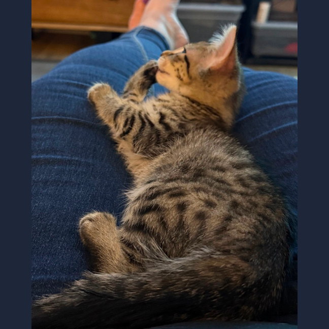 Photo of Rosie