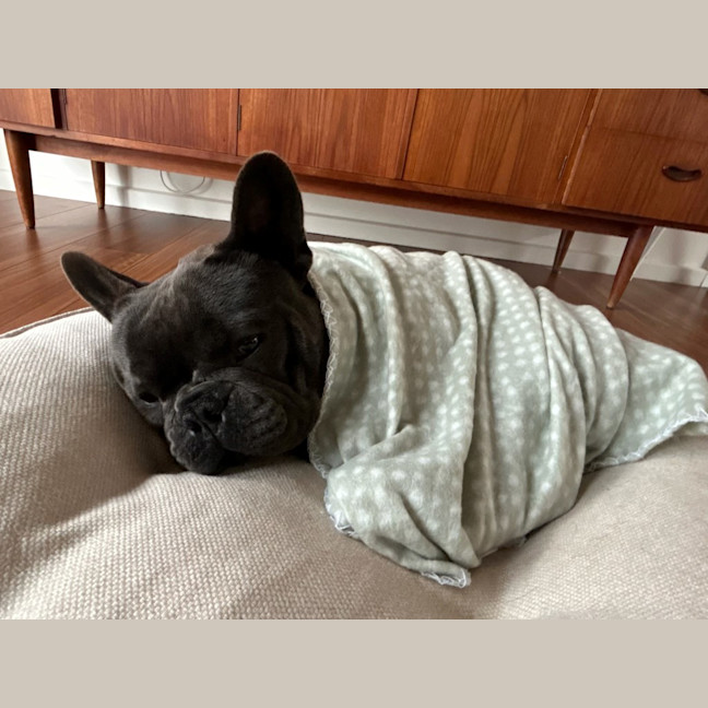 Photo of Nigel