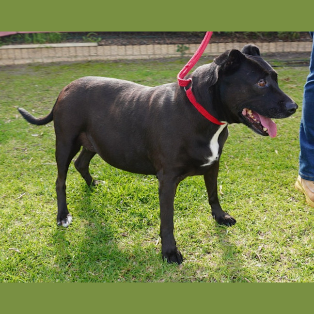 Photo of Roxy