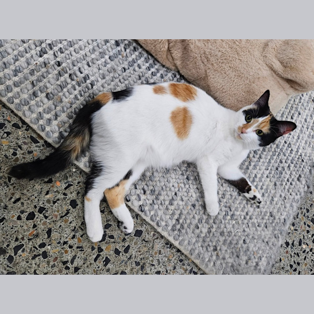 Photo of Mitzi
