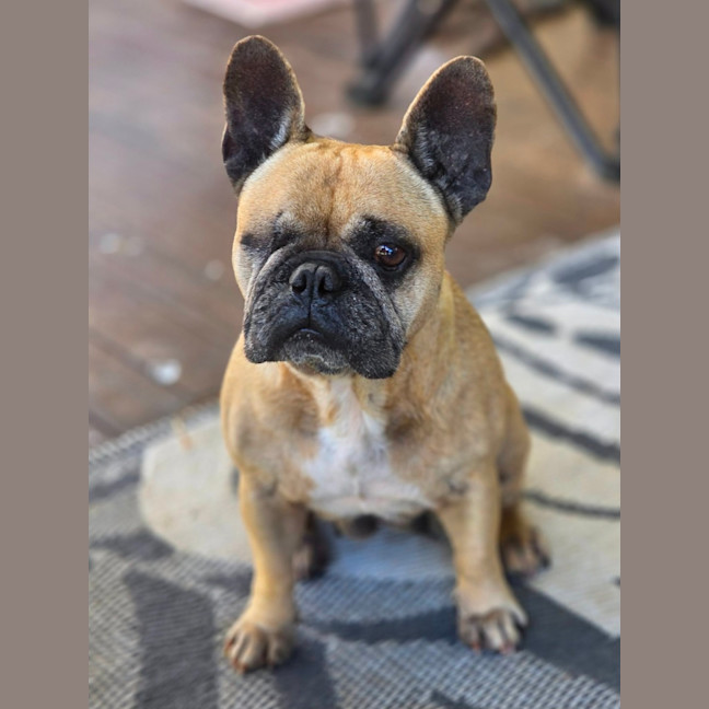 Photo of Betty