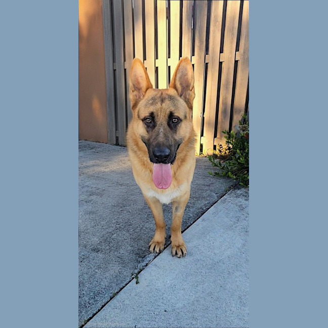 Photo of Jericho
