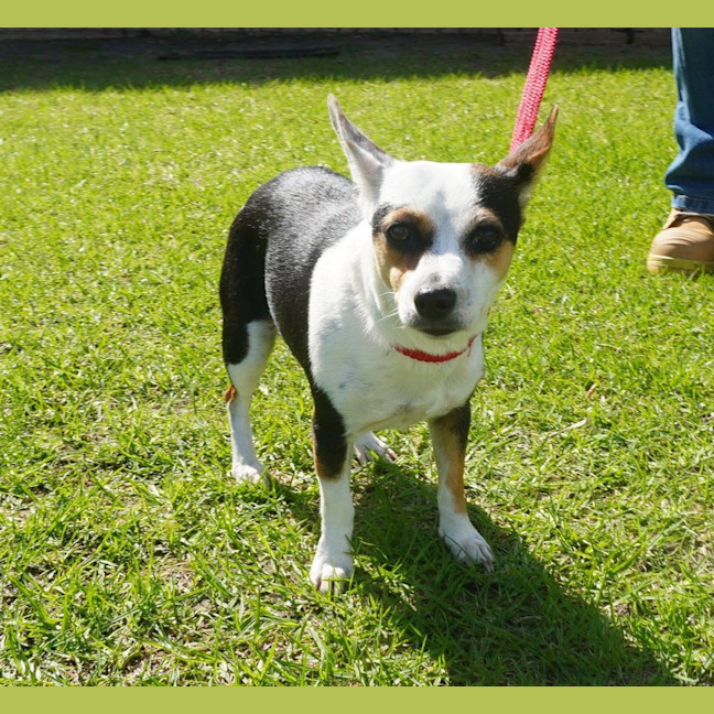 Photo of Wanda