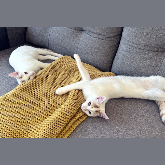 Photo of Neve & Cloud