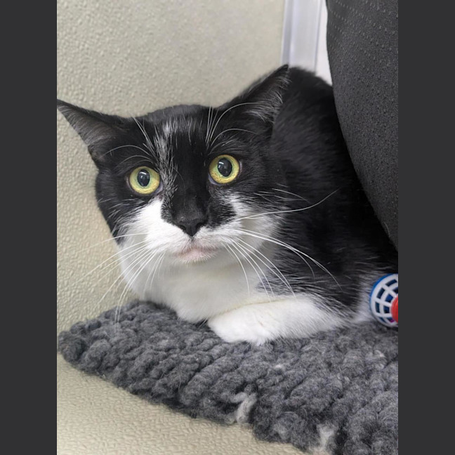 Photo of 💞 Ruby 6928 💞