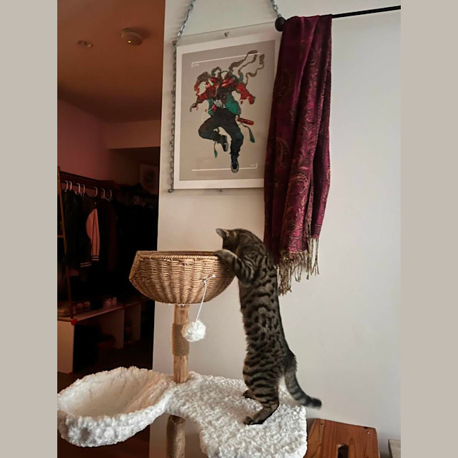 Photo of Rosie