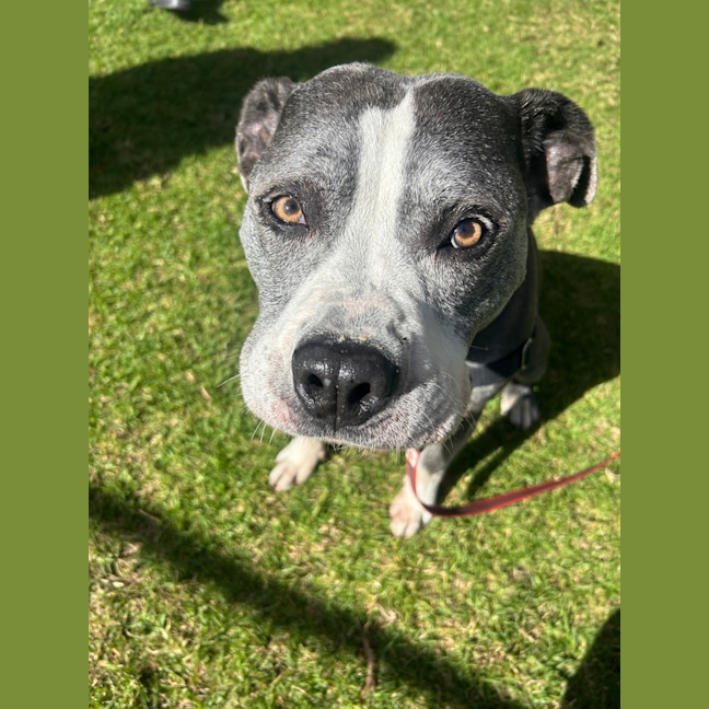 Photo of Tank