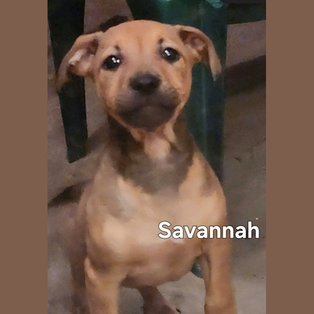 Photo of Savannah & Rosalie