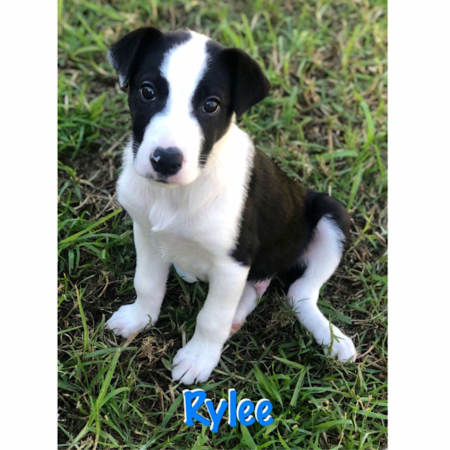 Photo of Rylee