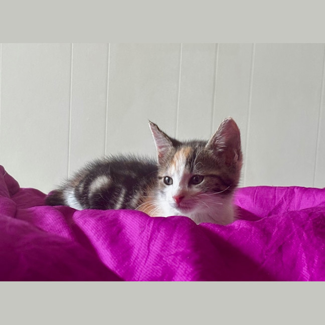 Photo of Mia