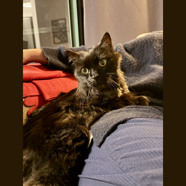 Photo of Sophia