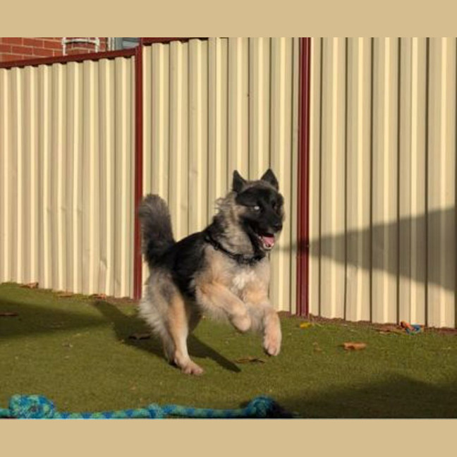 Photo of Tia