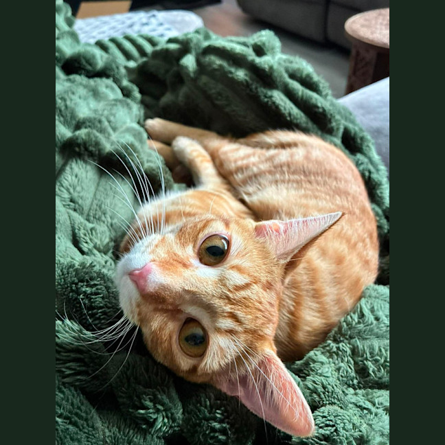Photo of Ron