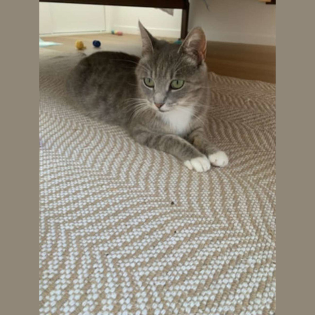 Photo of Ari And Gizmo