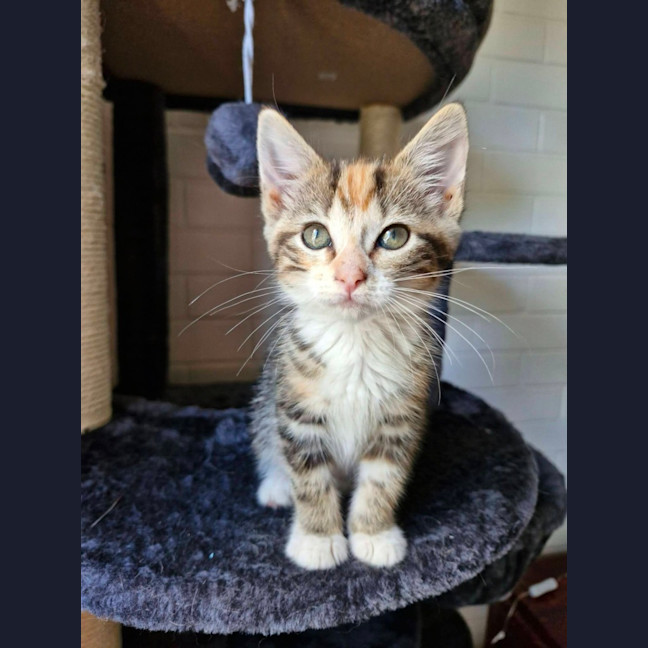 Photo of Wilma