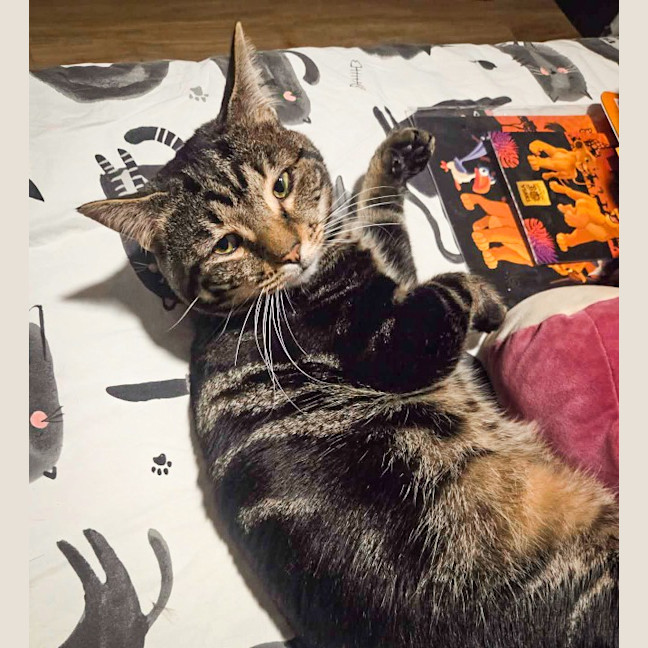 Photo of Buddy