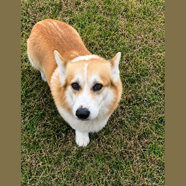 Photo of Bobby