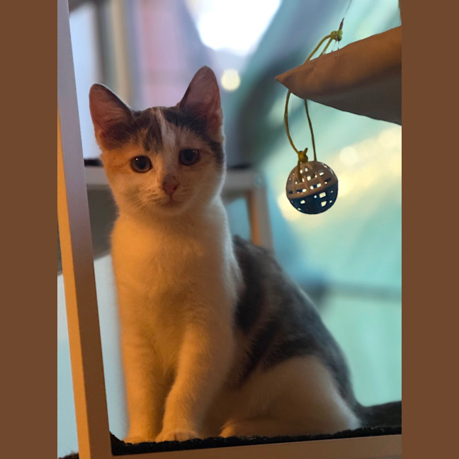Photo of Hope