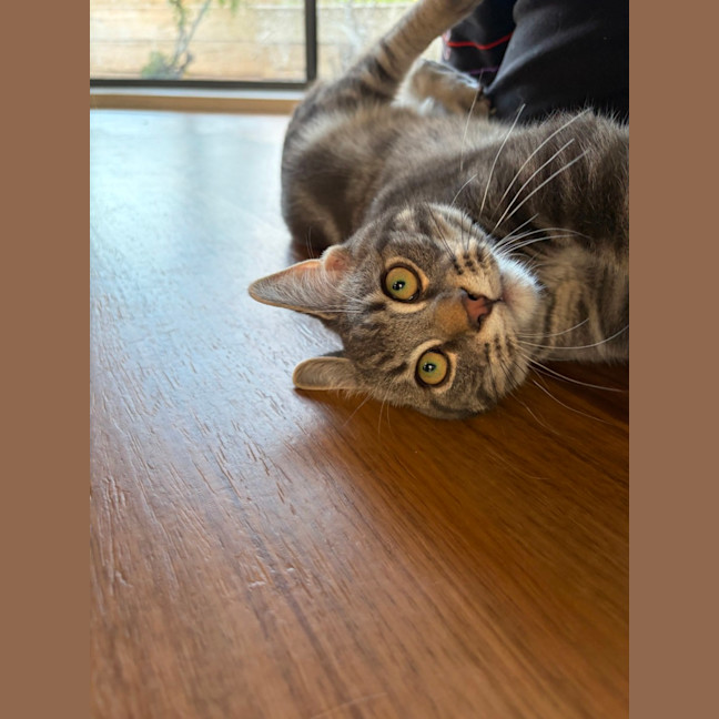 Photo of Jeremiah
