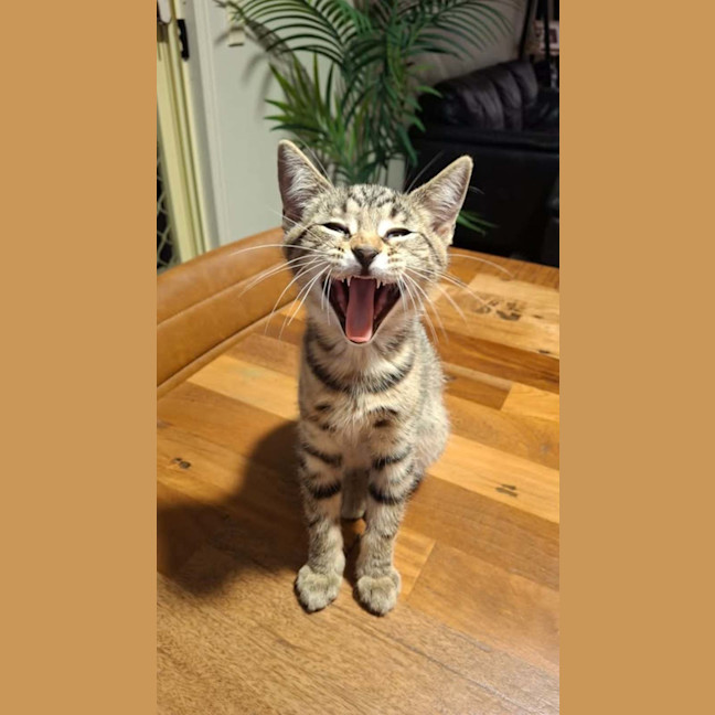 Photo of Hazel