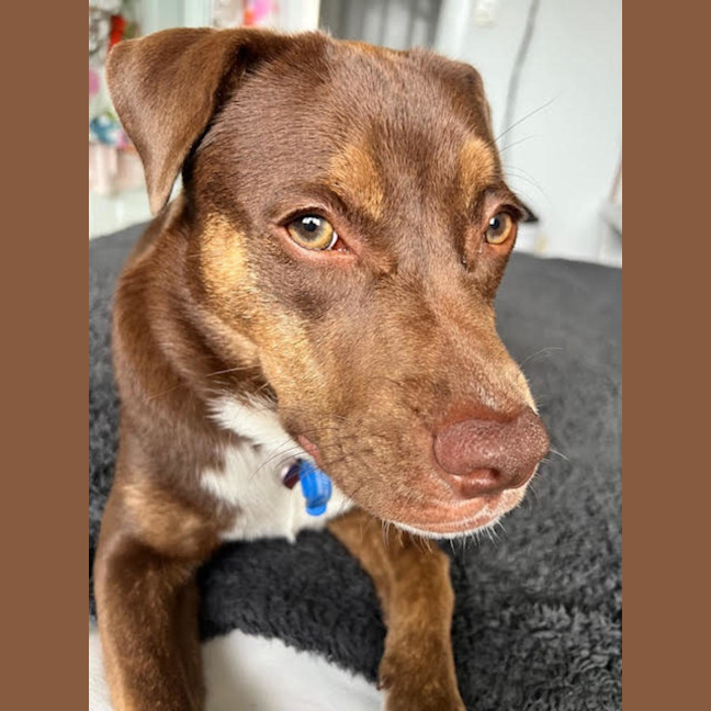 Photo of Bingo Ellie