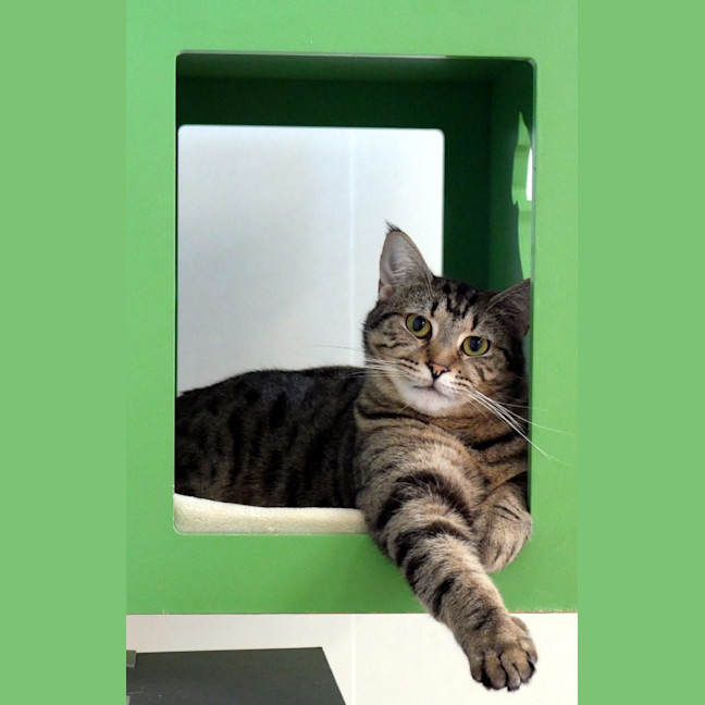 Photo of Marge Sta013634