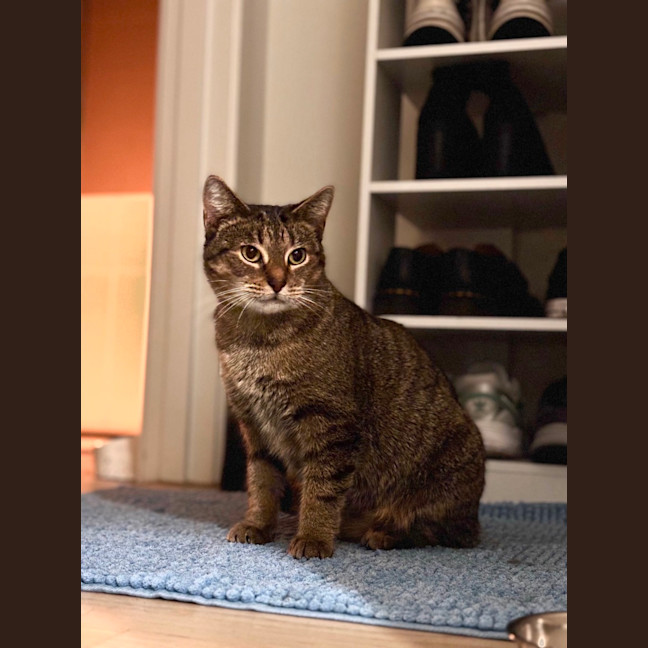 Photo of Cleo
