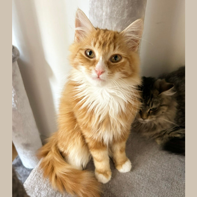 Photo of Jamie ❤️