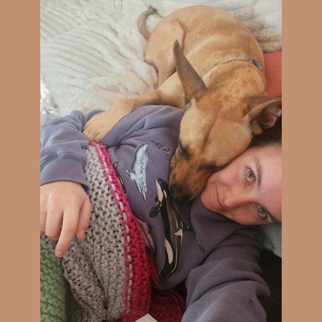 Photo of Casey   2 Year Old Mixed Breed